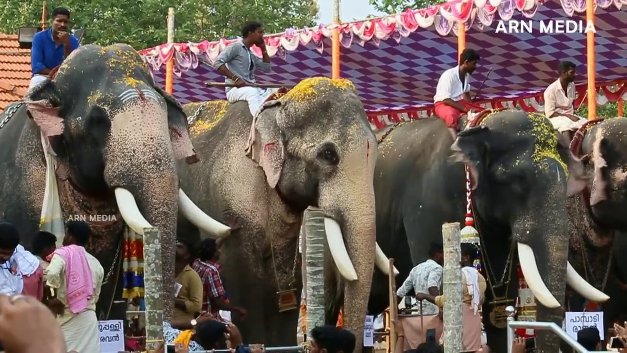 Ithithanam Gajamela ഇത്തിത്താനം ഗജമേള Thechikottukkavu Ramachandran, Puthupally Keshavan