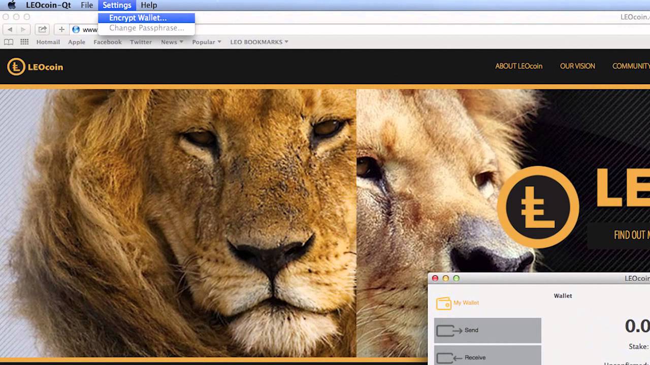 HOW TO SET UP A LEO COIN WALLET