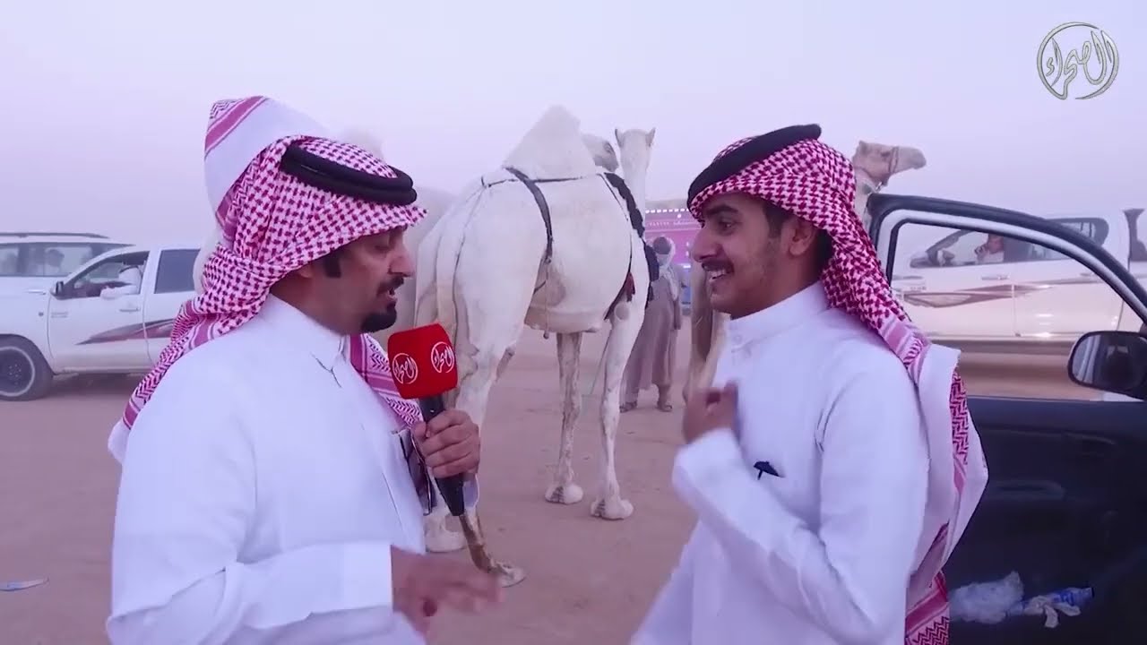 الرسالة الثامنة | مهرجان ومزاد حفر الباطن للإبل