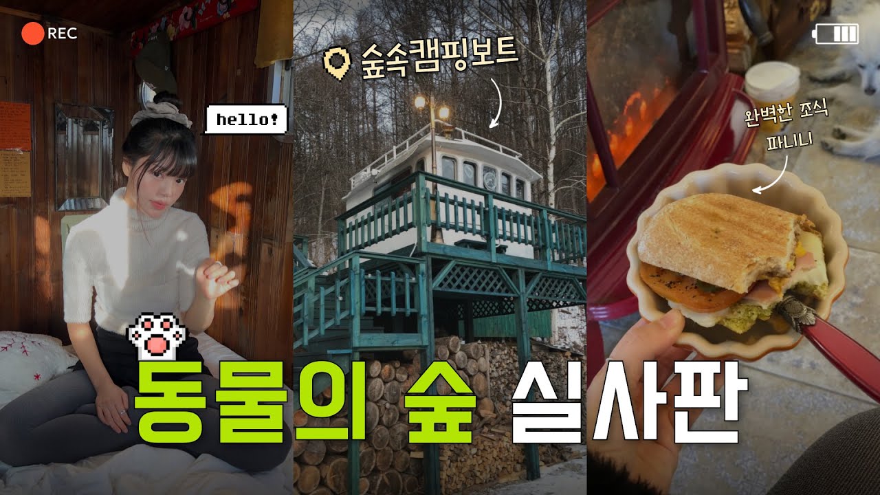 영하 -15도 혹한기 강원도…❄️ 들어가자마자 감탄 나온 평창 에어비앤비 숙소!