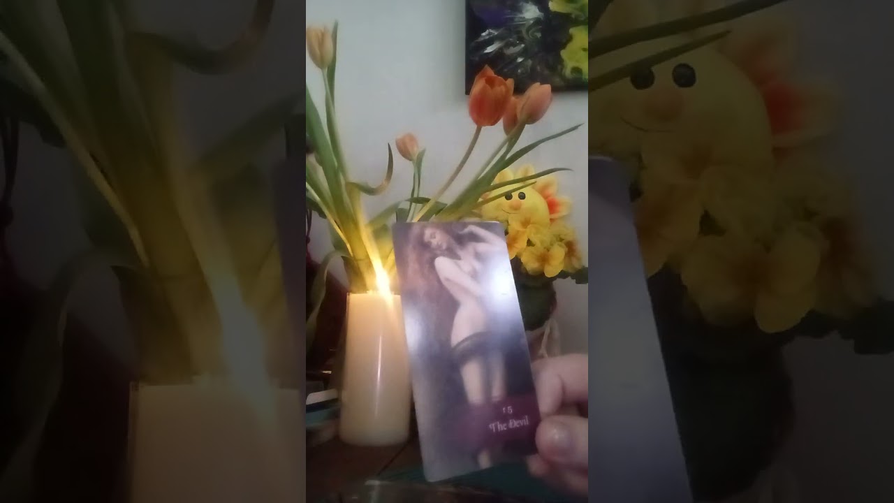 VINE KARMA PE ACTE SI JUSTITIE.PIERDER MARI SI AJUNG LA DEMENTA.🤔🙃🙂😊