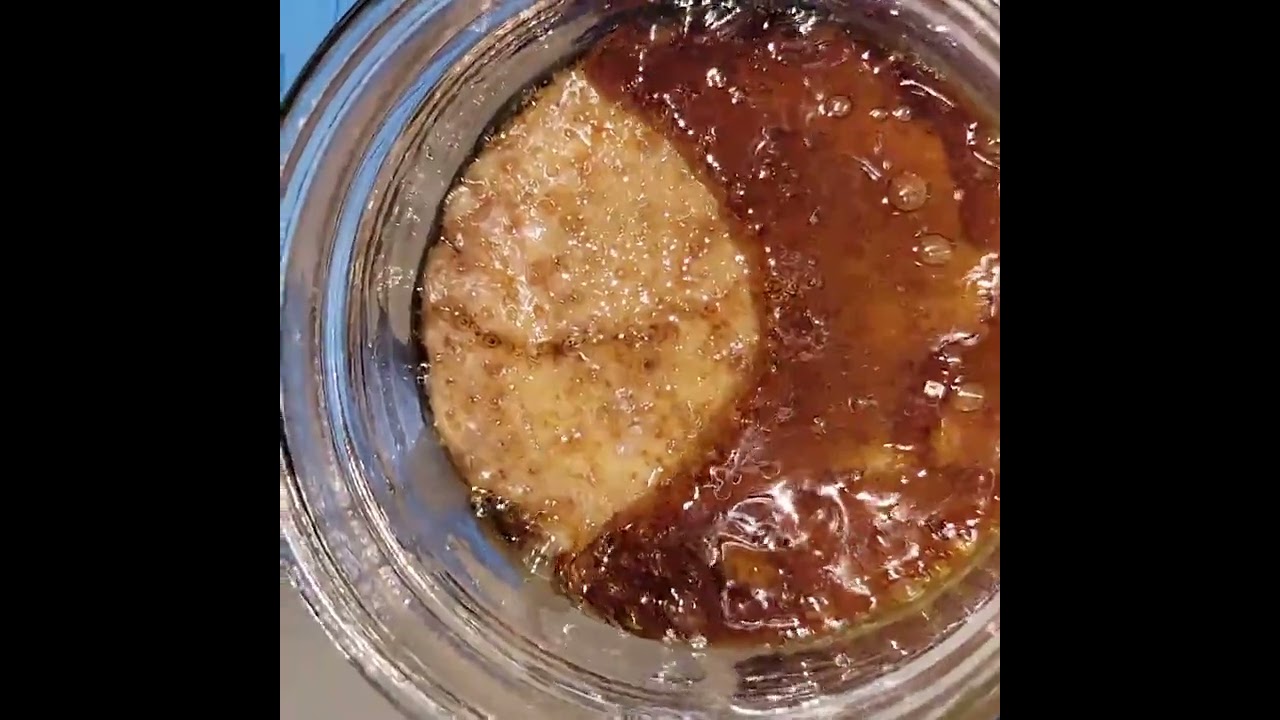 Rosin after the cure. The terp layer on this one is nice.    #terps #rosin  @covert_extracts1