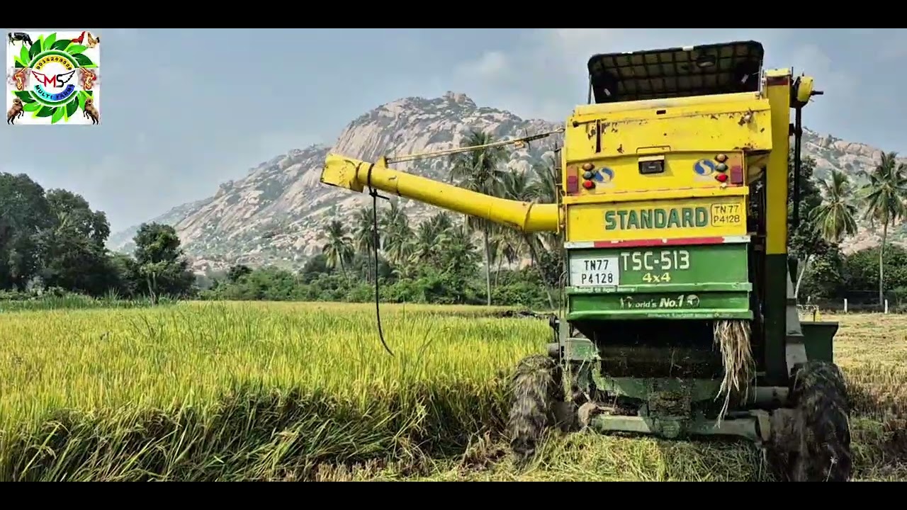 𝐖𝐞𝐥𝐜𝐨𝐦𝐞 𝐭𝐨 𝐡𝐞𝐚𝐫𝐭 𝐨𝐟 𝐧𝐚𝐭𝐮𝐫𝐞 🌿 𝗠𝗦 𝗠𝗨𝗟𝗧𝗜 𝗙𝗔𝗥𝗠𝗦.𝗩𝗜𝗟𝗟𝗔𝗚𝗘 𝗢𝗥𝗚𝗔𝗡𝗜𝗖 𝗔𝗡𝗗 𝗛𝗘𝗔𝗟𝗧𝗛𝗬 𝗡𝗔𝗧𝗨𝗥𝗘. 𝗟𝗢𝗩𝗘  𝗔𝗡𝗗 𝗖𝗔𝗥𝗘 🐓👌🌾🐐🥚