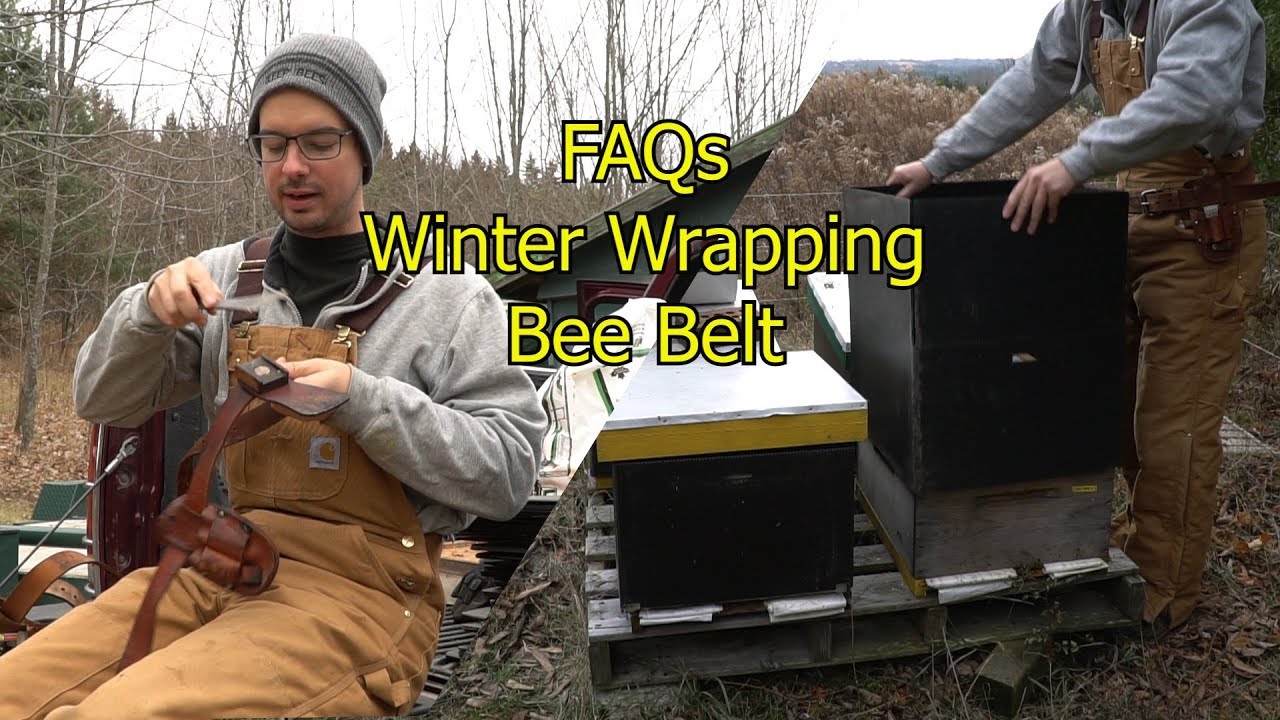 Beekeeping 2017 FAQ's - My Bee Belt, Winter Wrapping
