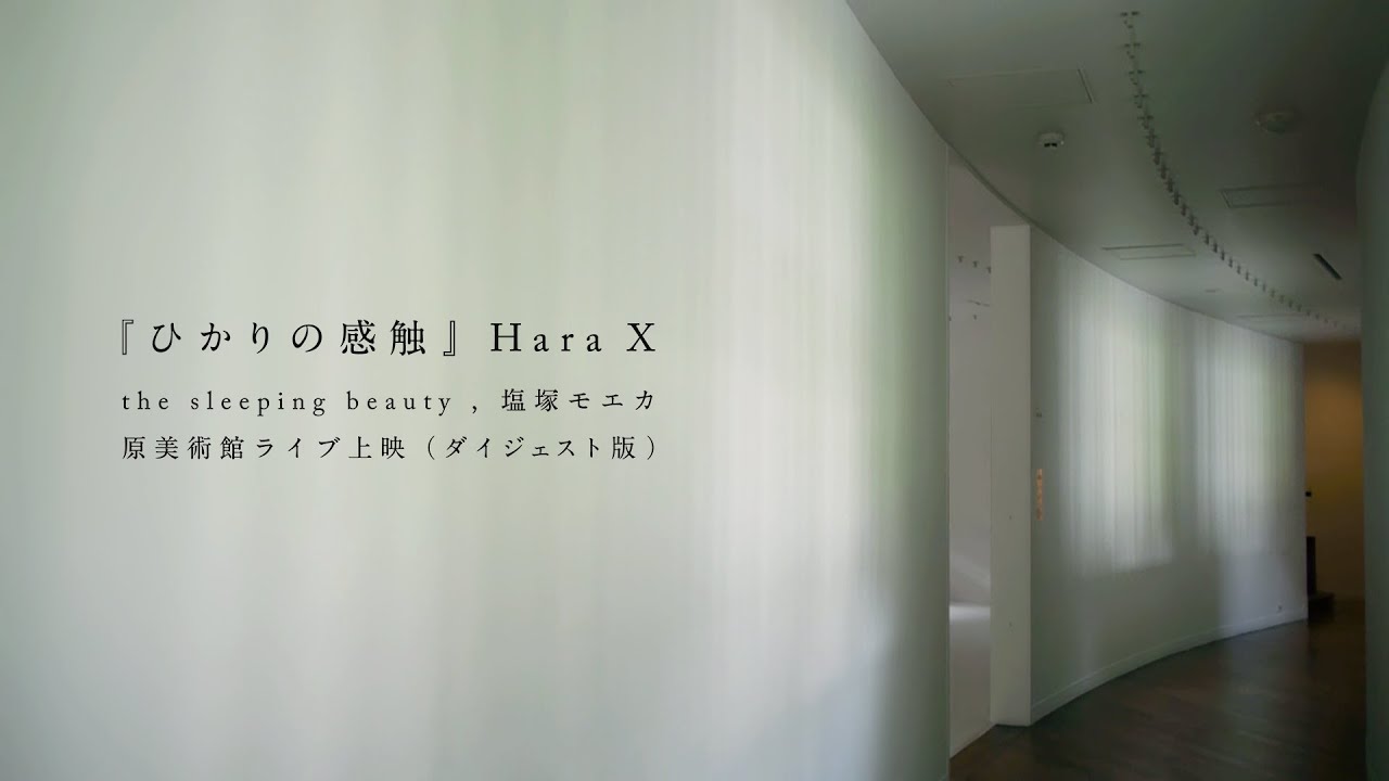 『ひかりの感触』Hara X the sleeping beauty , 塩塚モエカ(羊文学) 原美術館ライブ／アーカイブ版
