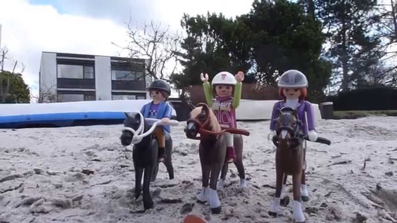 Serie: The Dream Of My Horse #1 || manege 't paardje