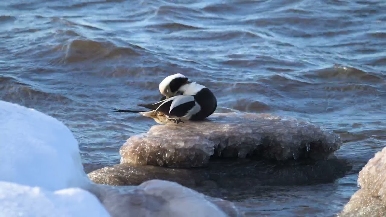 Öland under några kalla vinterdagar i början av December.