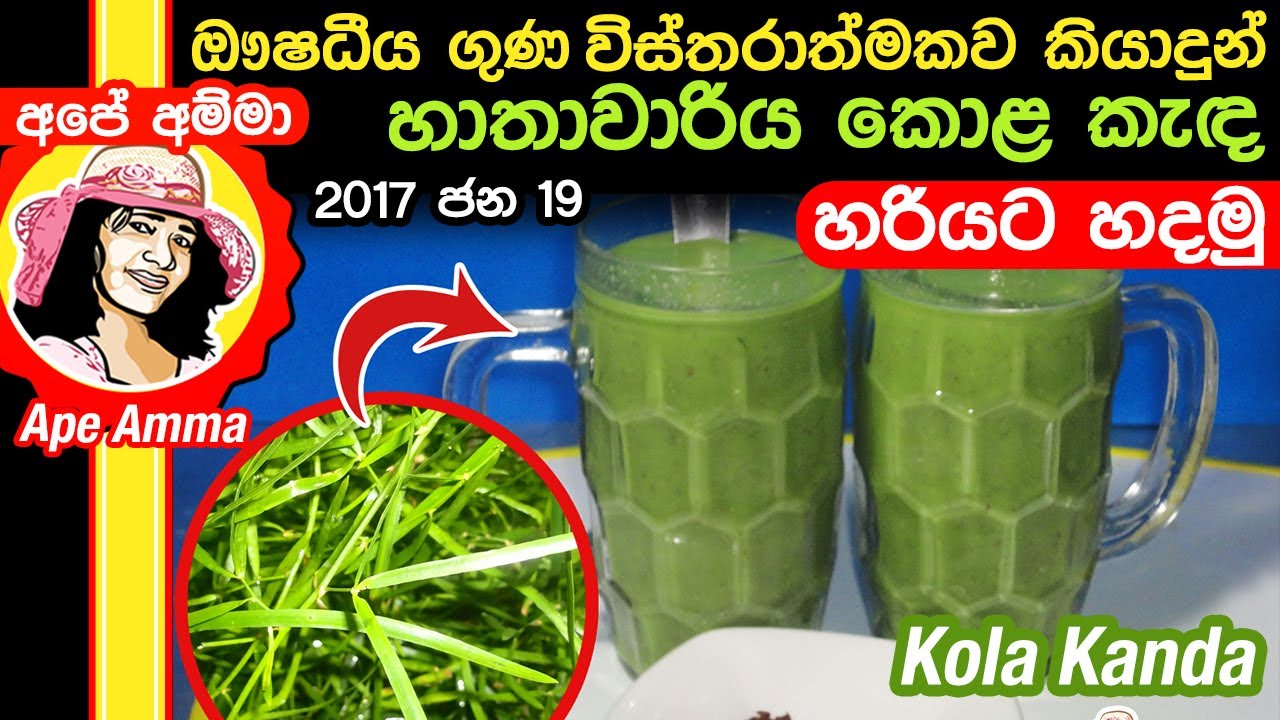 ✔ ඖෂධීය හාතවාරිය කොළ කැඳ එකක් හරියට හදමු (උදැසන ආහාරය) Hathawariya Kola kanda by Apé Amma