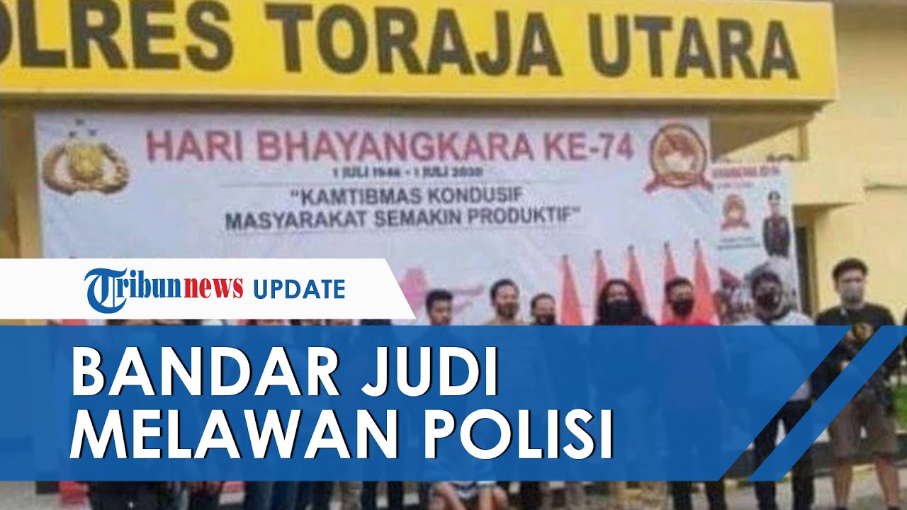Bandar Judi Sabung Ayam di Toraja yang Lawan Polisi dan Videonya Viral Tak Berkutik saat Ditangkap