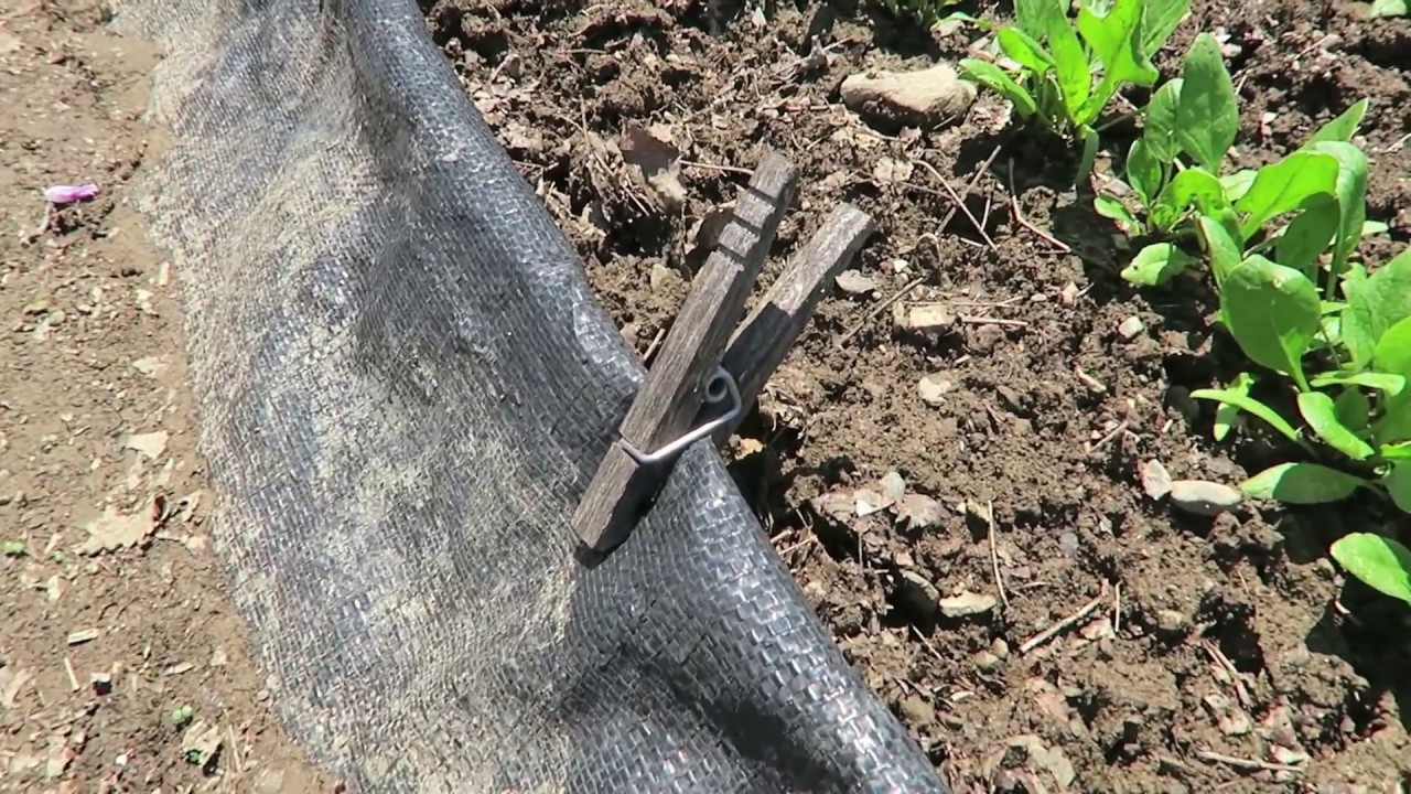 Woven Groundcover Mulch Between Garden Beds