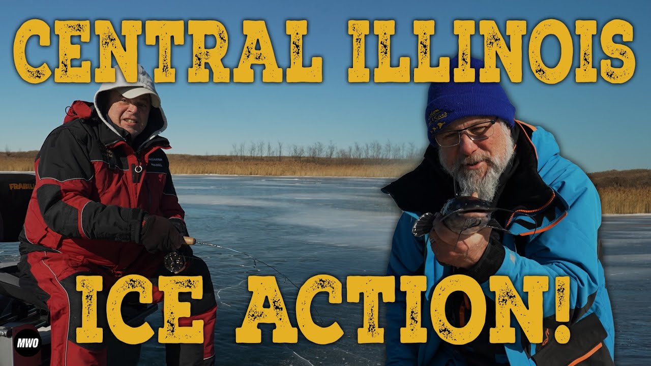 Catfish Crash the Panfish Party | Ice Fishing