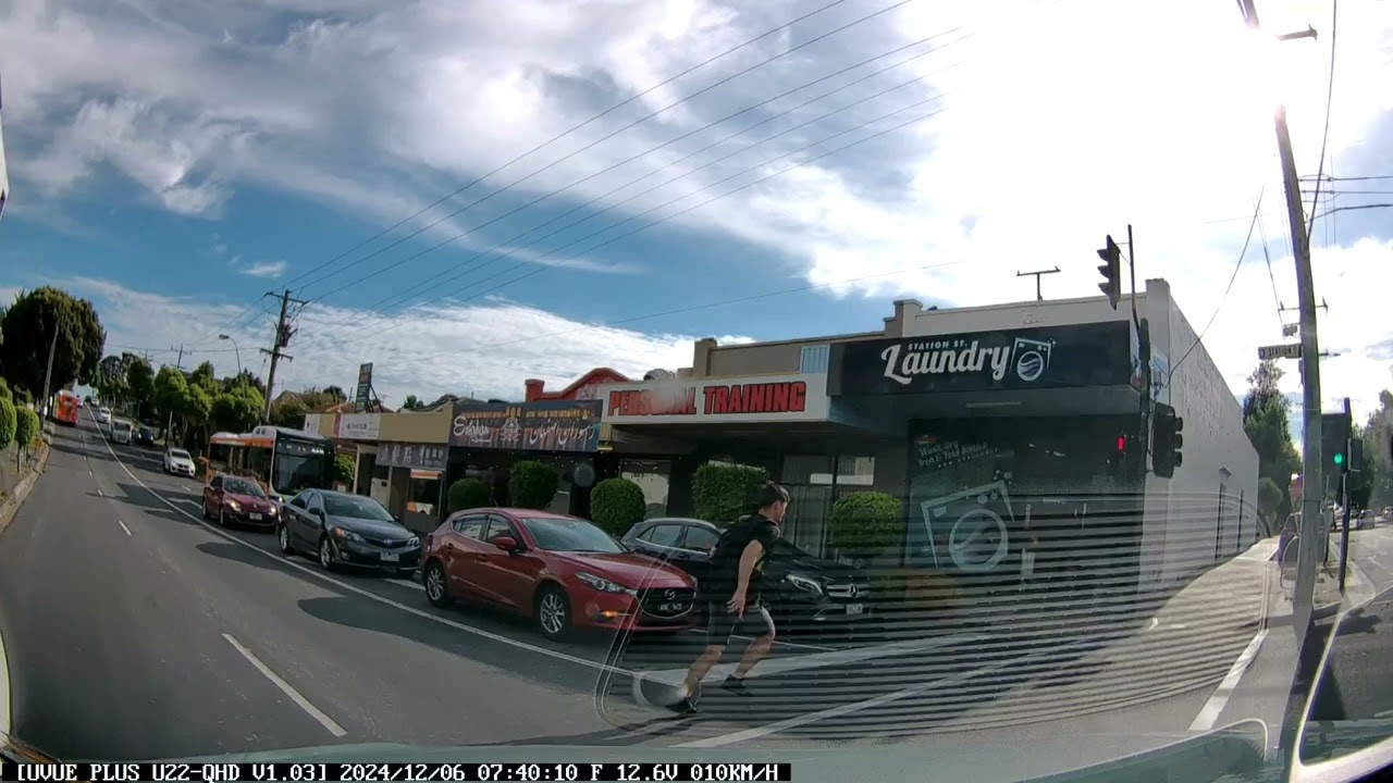 Stupid pedestrian crossing the traffic light