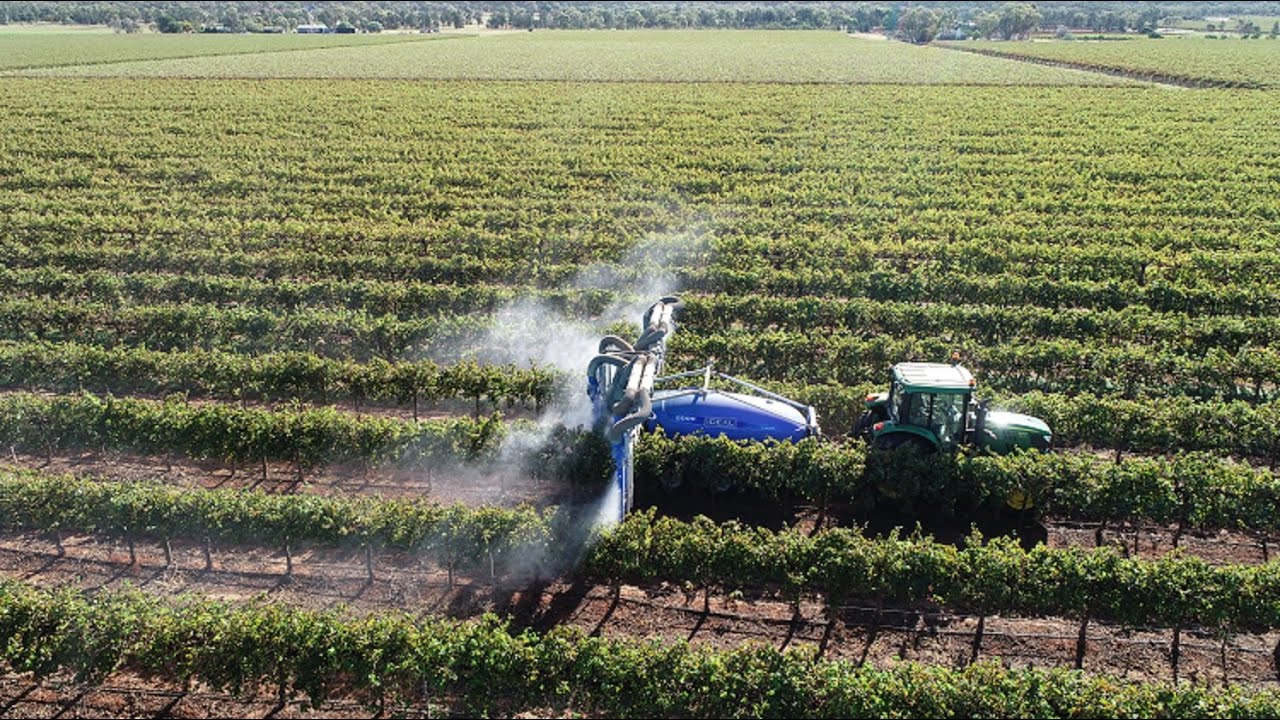 Ideal Vitistar Sprayer - Guidolin Agrimac