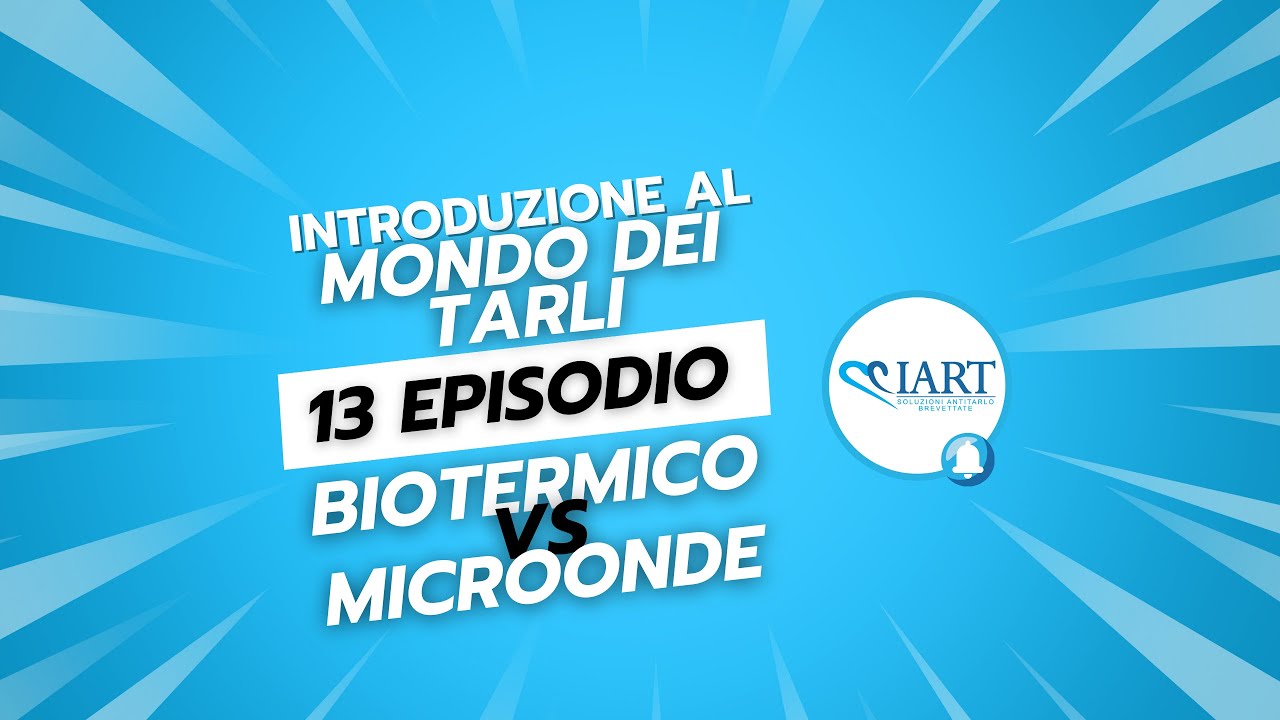 Introduzione al Mondo dei Tarli | 13 episodio | Trattamento Biotermico vs Trattamento Microonde