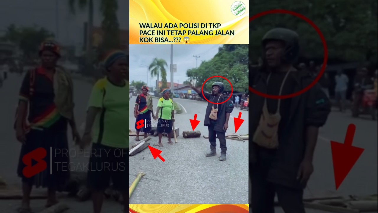 Pace Palang Jalan di Timika Papua #shortvideo #papua #jalan #timika #pace #news