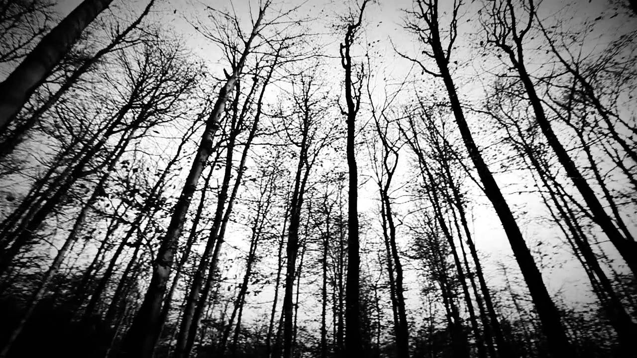 Tua: Raus (Official Video)