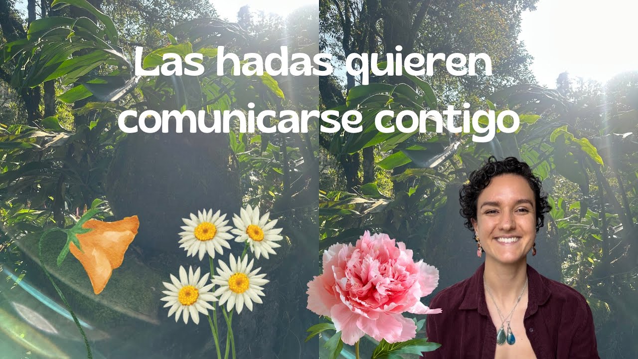 Eres guardianx ELEMENTAL en esta Tierra ✨🧚🏼‍♂️🦋🦔🌬️🌊 444