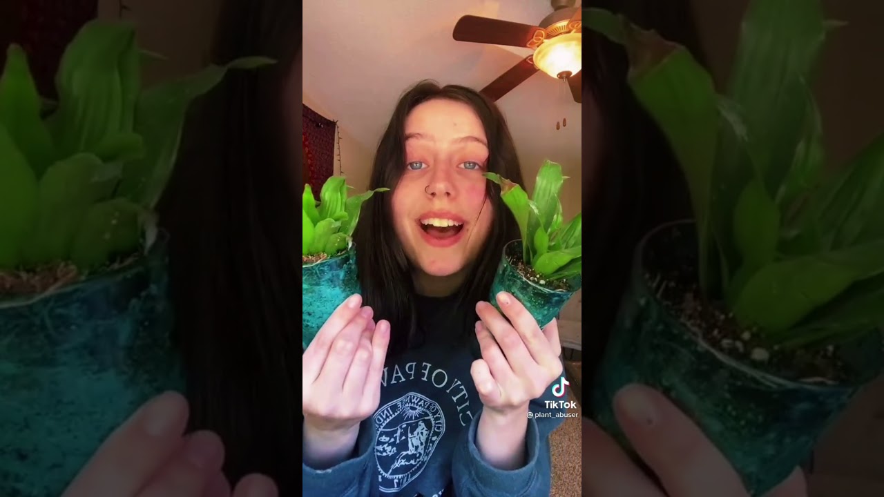 Plant Tiktoks for Plant lovers #PlantTok