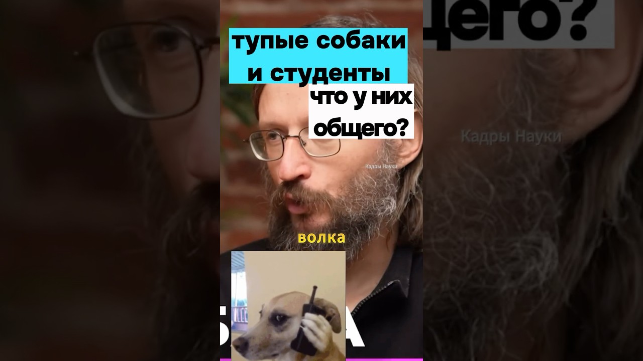 Тупые собаки и студенты-что общего? Дробышевский #дробышевский #интересно