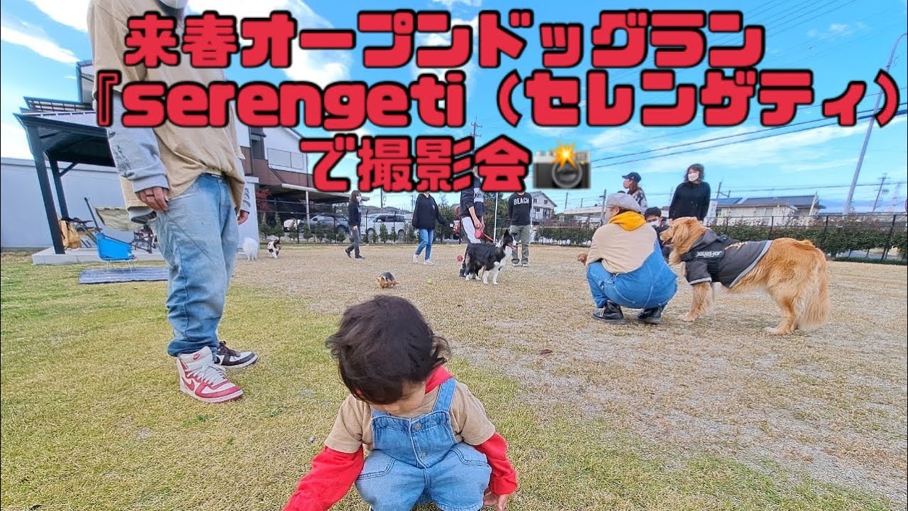 来春オープンドッグラン『serengeti（セレンゲティ）』で撮影会📸