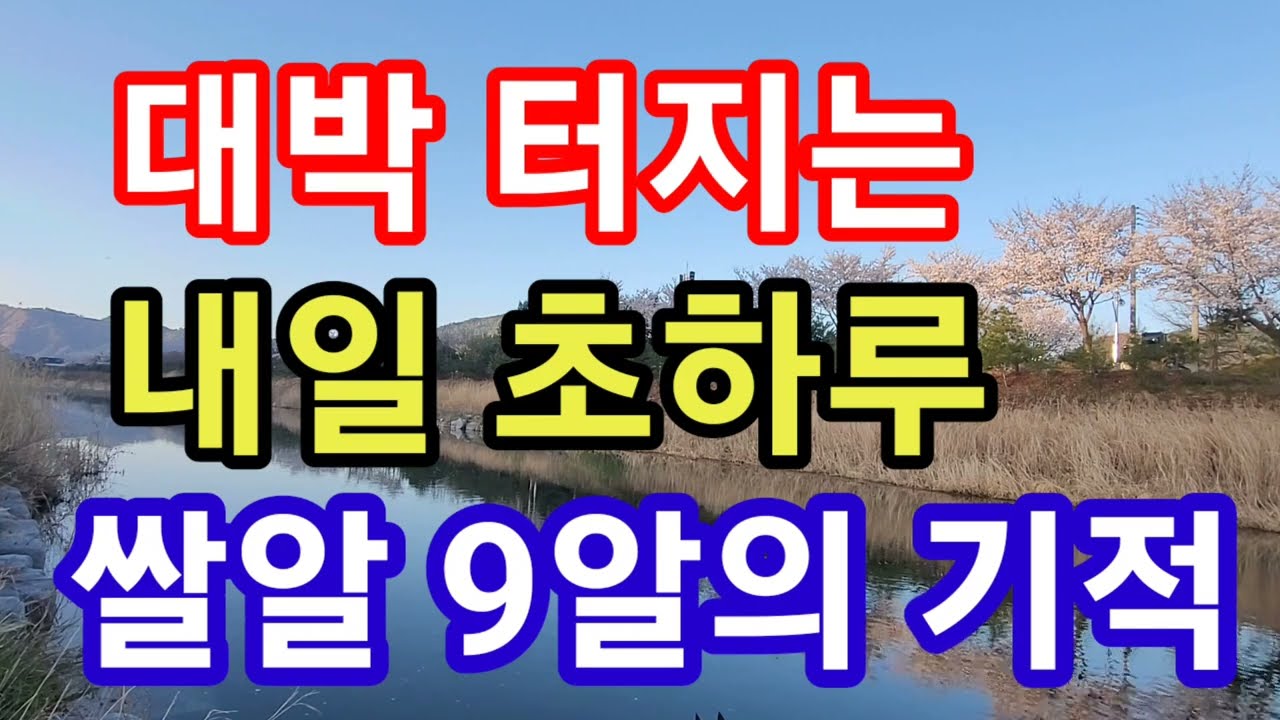 대박 터지는 내일 초하루! 닭날에 온 초하루는 초대박 터질 강력한 절호의 순간! 지금 내일 대박 초하루 하게 될 돈복 터지는 풍수기원 접수중! 대박 3종 구성이벤트 우편발송중