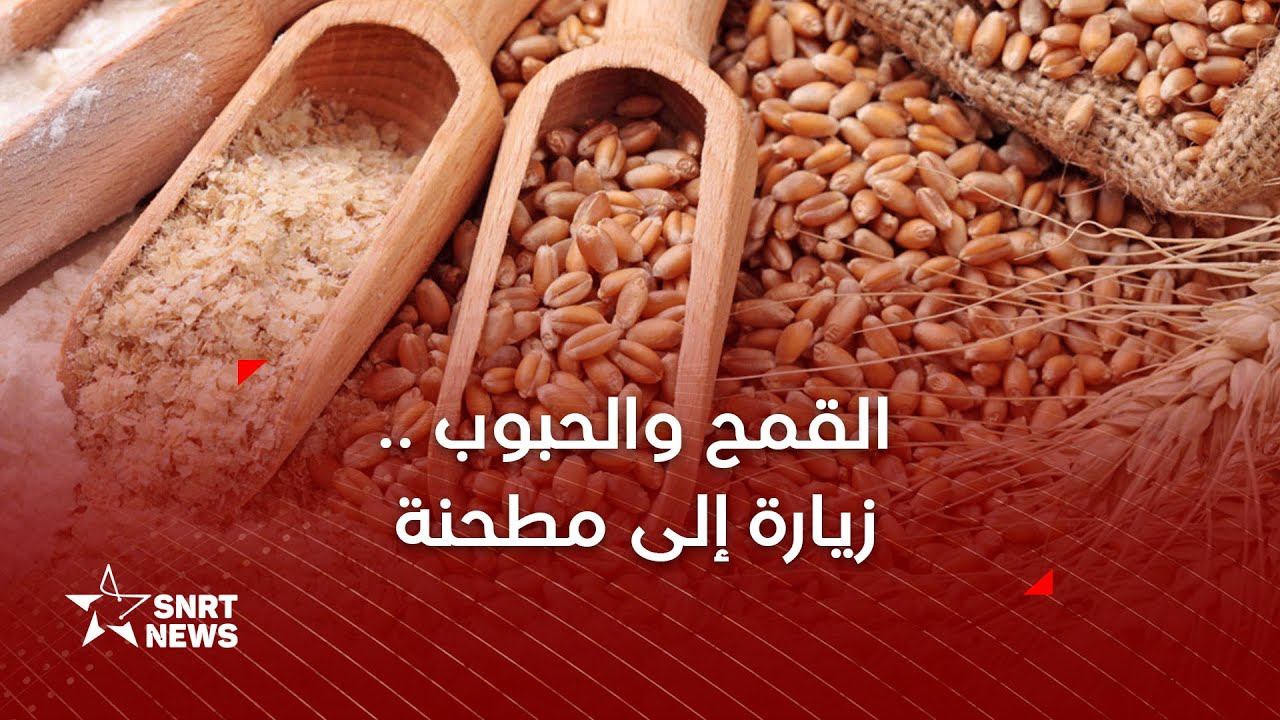 القمح والحبوب .. زيارة إلى مطحنة