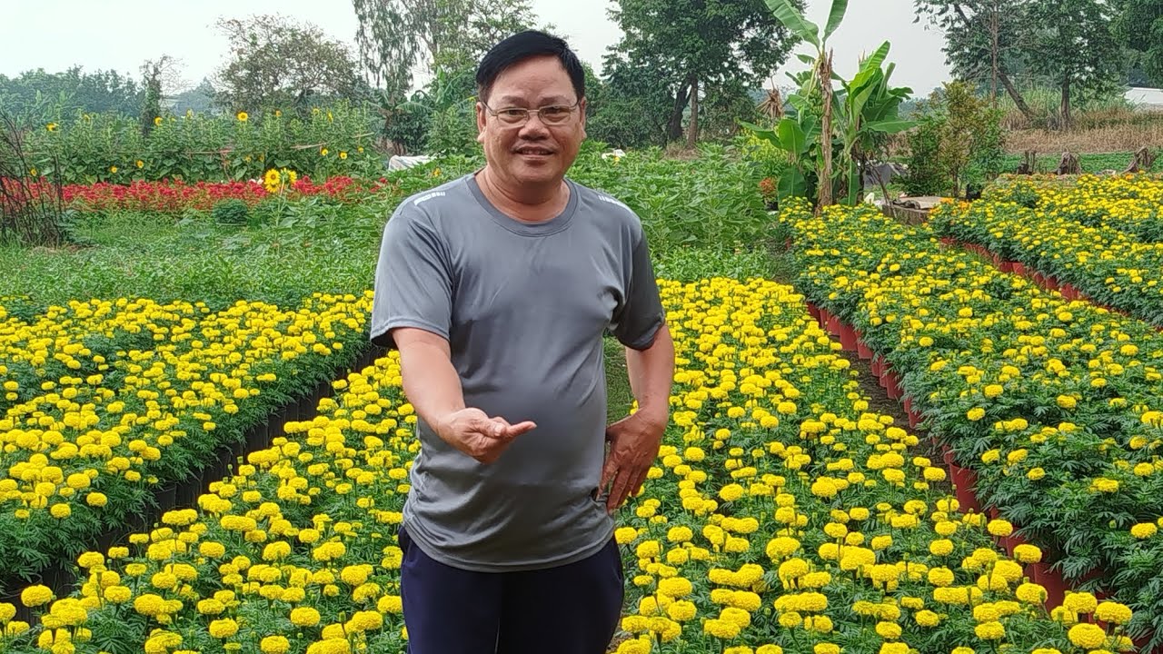 Ngày tảo mộ cùng gia đình @VanThanhVlogNguyenVanThanh 