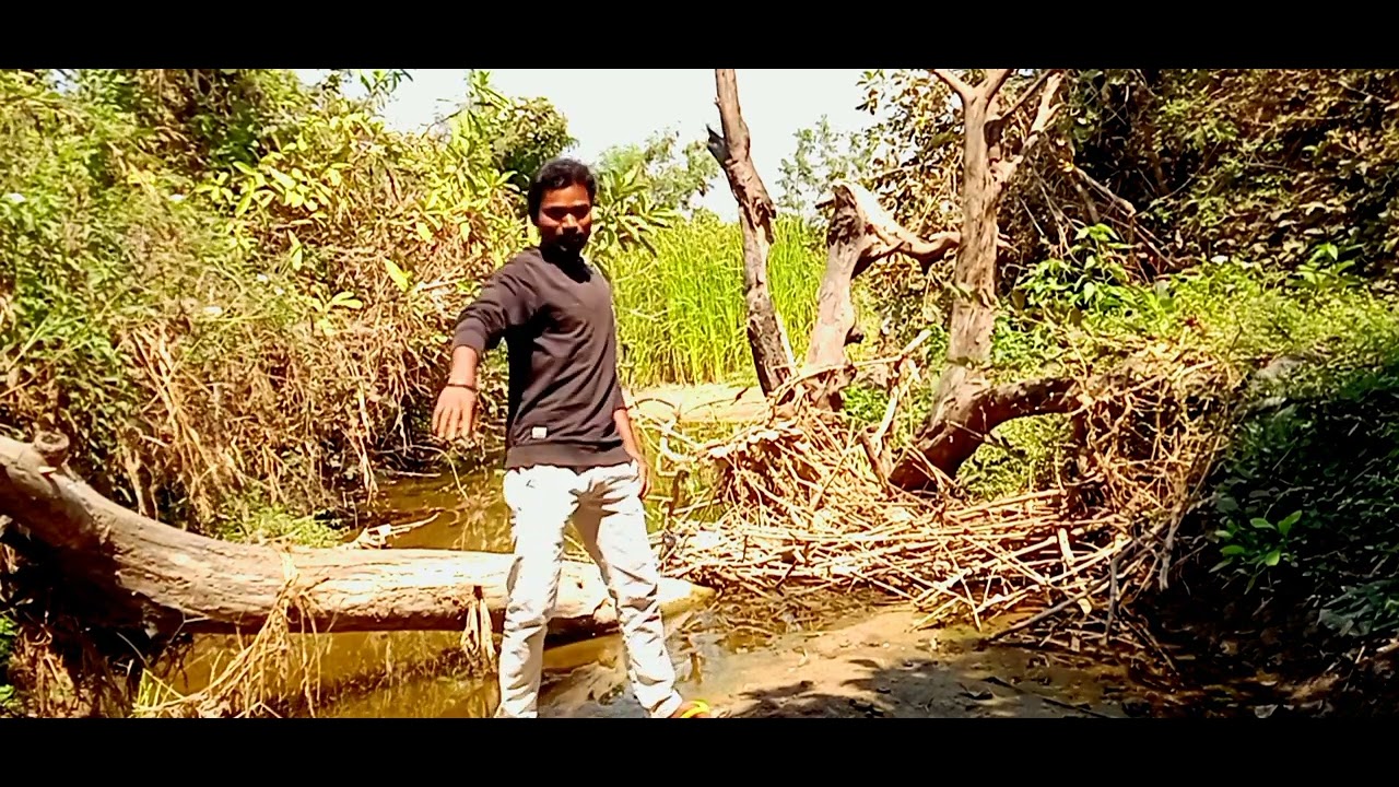 new gondi song 2022