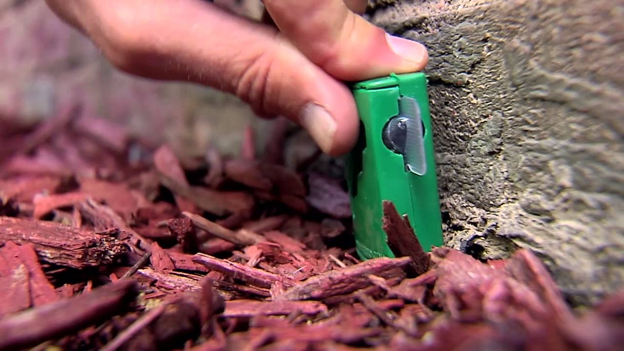 Kill Ants with TERRO Outdoor Liquid Ant Bait Stakes