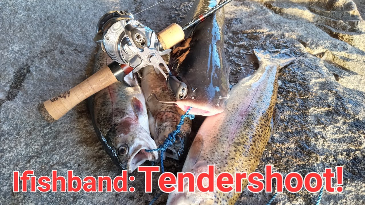 Santee Lakes Bfs Trout fishing: Ifishband Tendershoot= Drop Shotting for Trout!