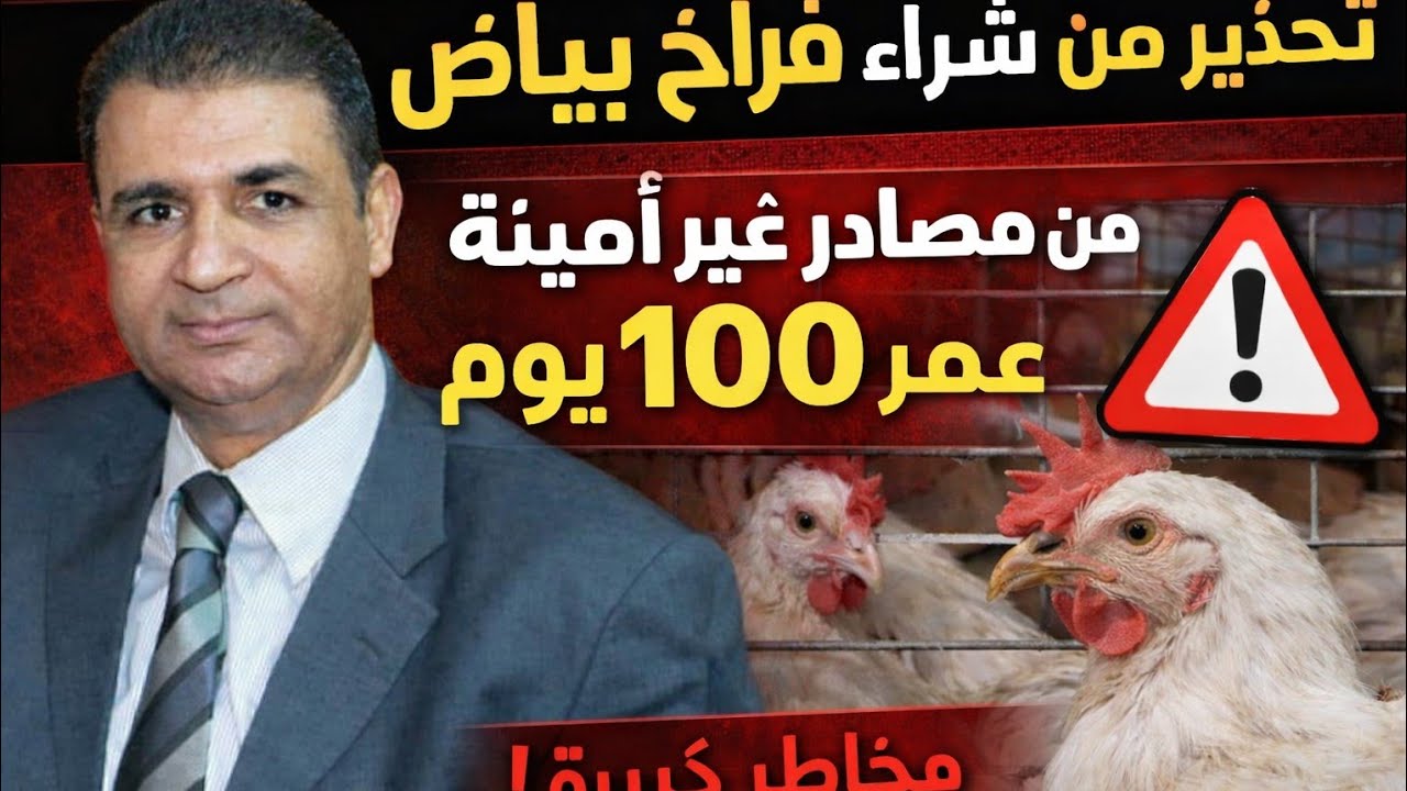 #أوعى تشترى فراخ بياض عمر ١٠٠ يوم من أى حد علشان مترجعش تشتكى وتقول مكنتش أعرف مع أخطاء أوعى تعملها