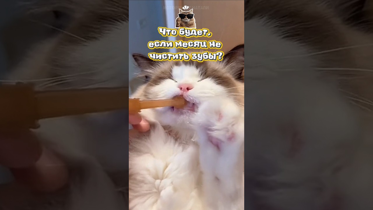 Кот в шоке: Что будет если...? #7