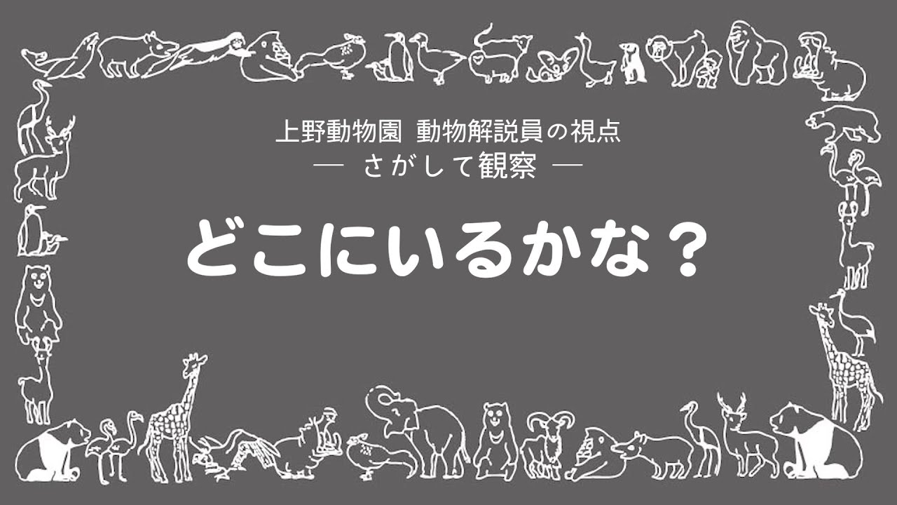 さがして観察：どこにいるかな？