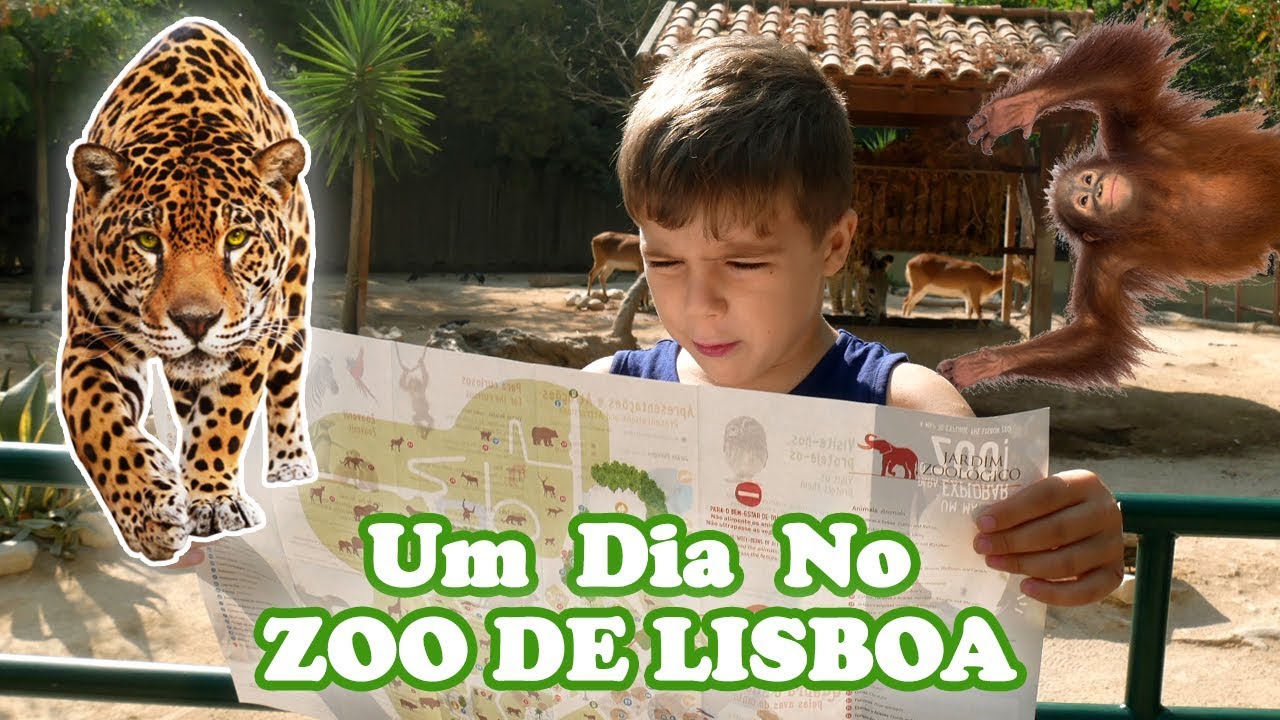 Um Dia no Zoo de Lisboa 2018