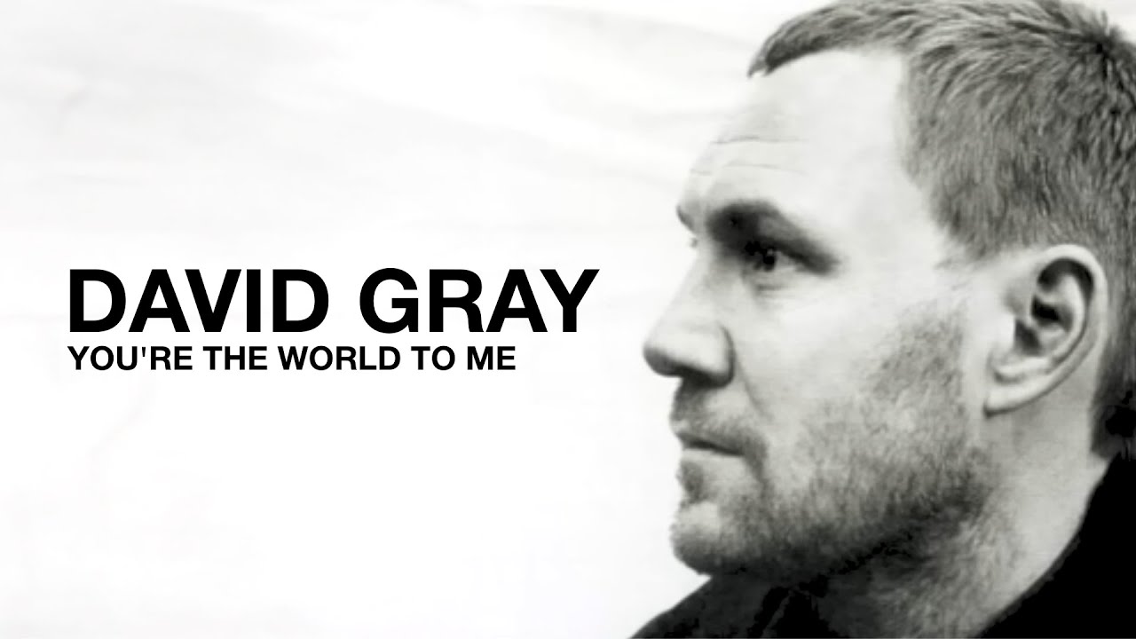DAVID GRAY - You're The World To Me (Official Audio)