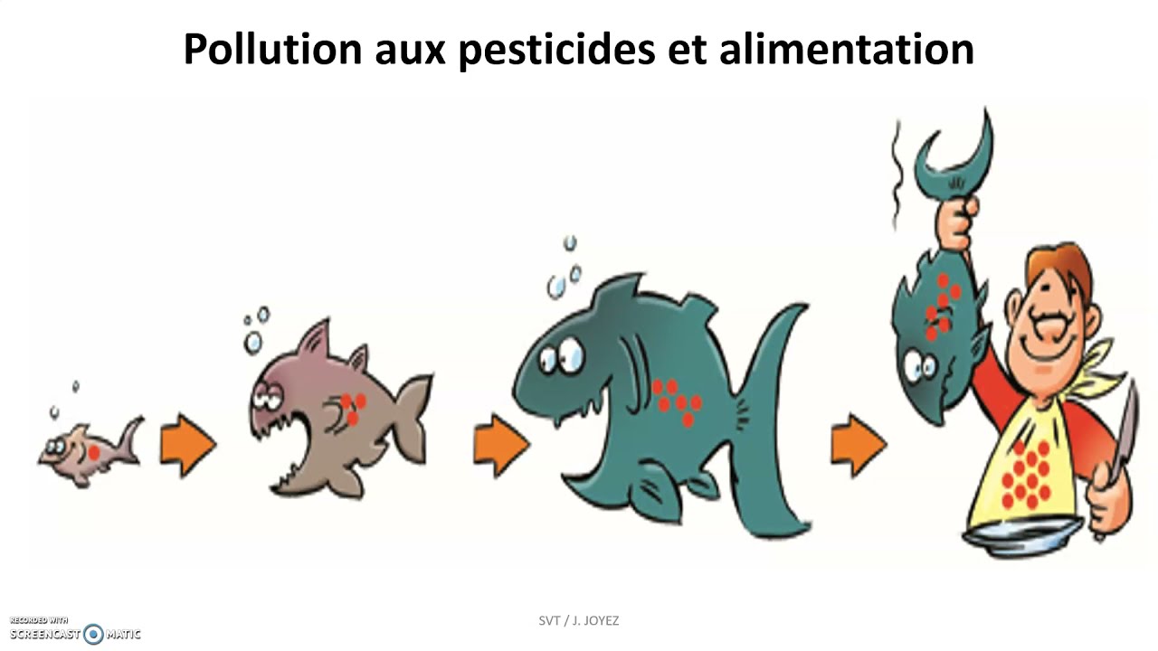 Vers une gestion durable des agrosystèmes