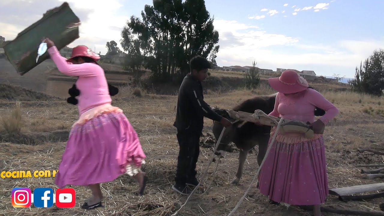LA SUEGRA LE HACE LA VIDA IMPOSIBLE AL YERNO AL FINAL SE ESCAPÓ -Cocina con Mamila