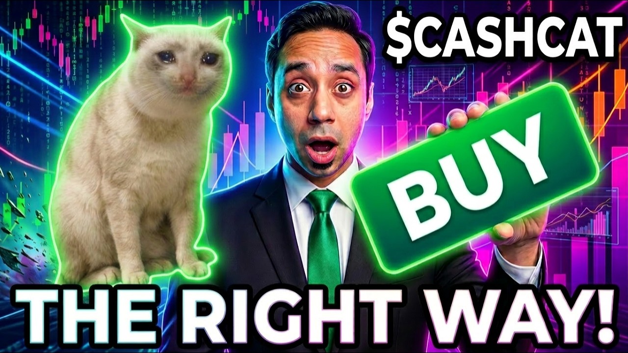 Как купить криптовалюту CashCat в сети Robinhood Chain и не стать жертвой мошенников?