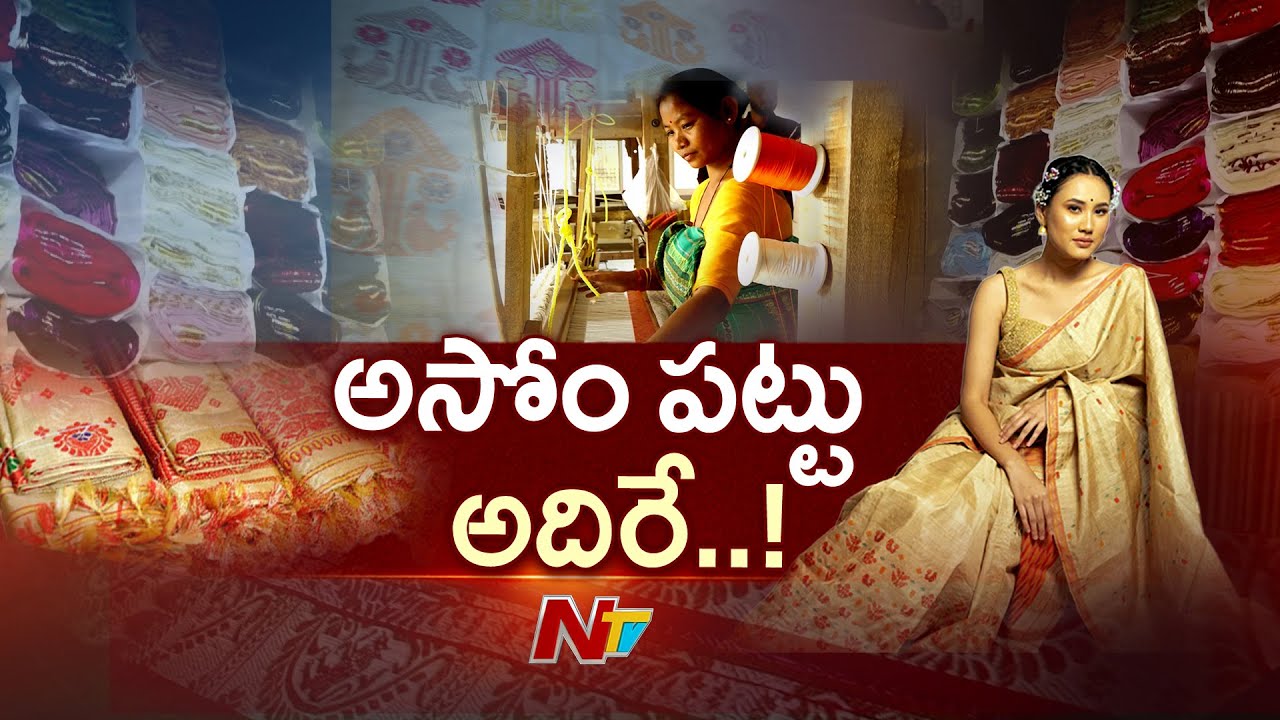 Assam Silk Sarees: The Pride of North India | Muga, Eri & Pat Explained | Special Focus | NTV Telugu