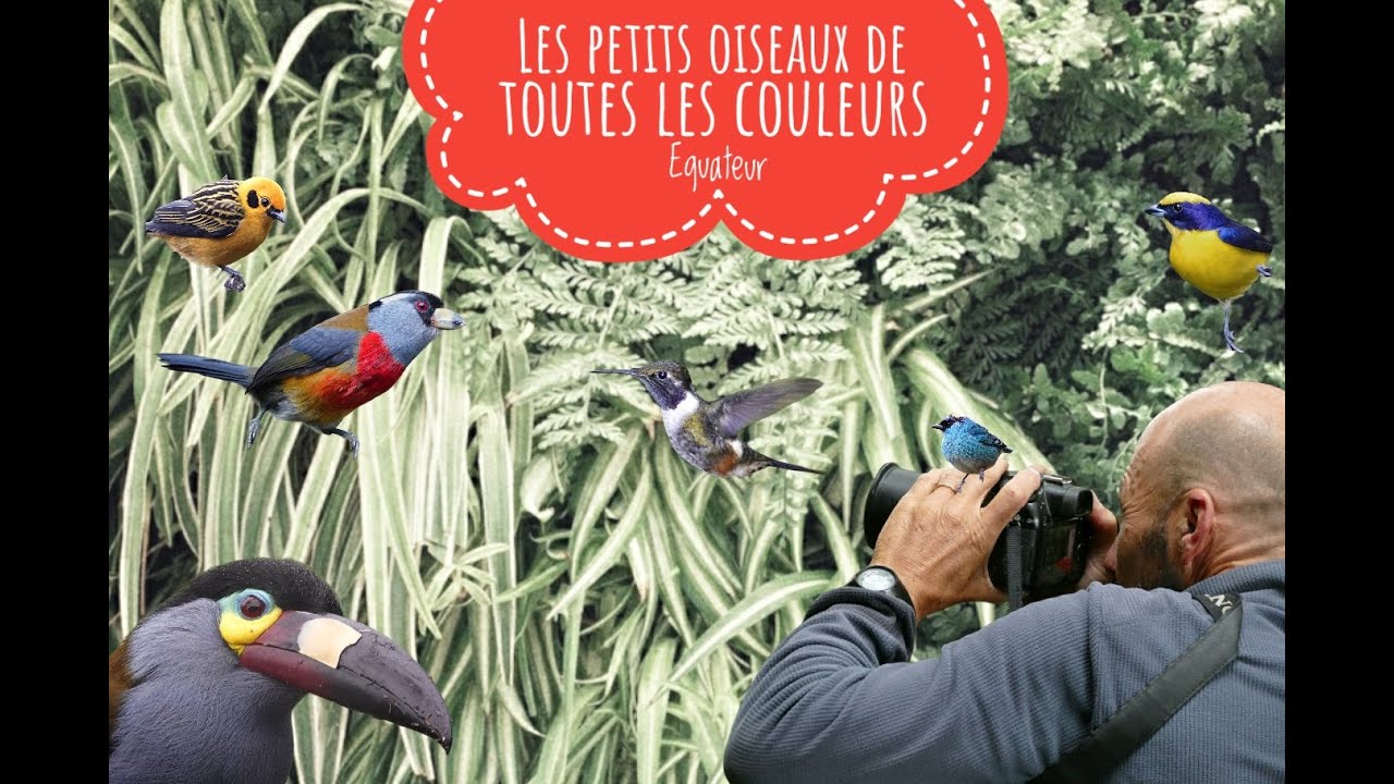 s03e30 - Les petits oiseaux de toutes les couleurs #aNotreTour
