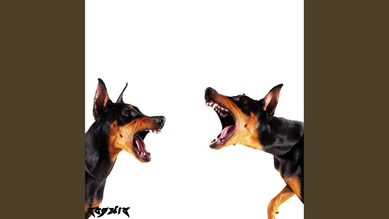 CHAOS
