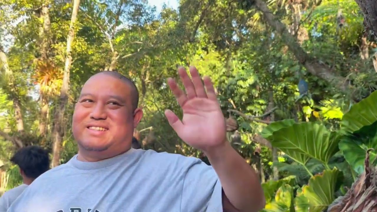 USA Disney animals kingdom ကစားကွင်းရောက်ရှိ