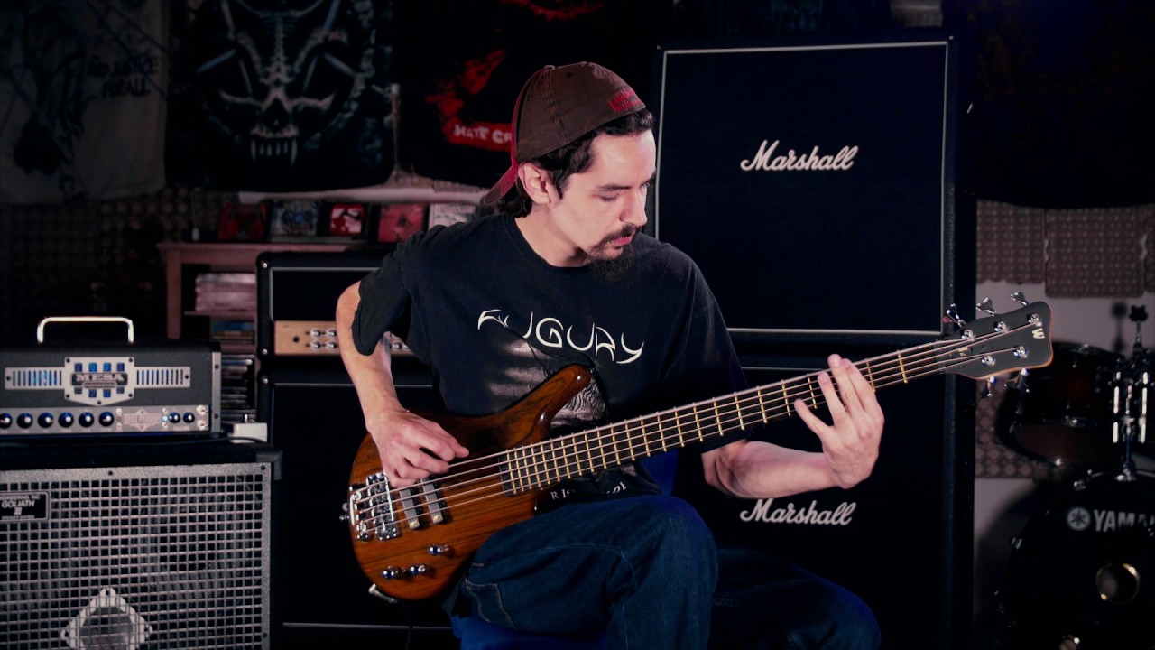 Martyr (bass cover) Nameless, Faceless , Neverborn