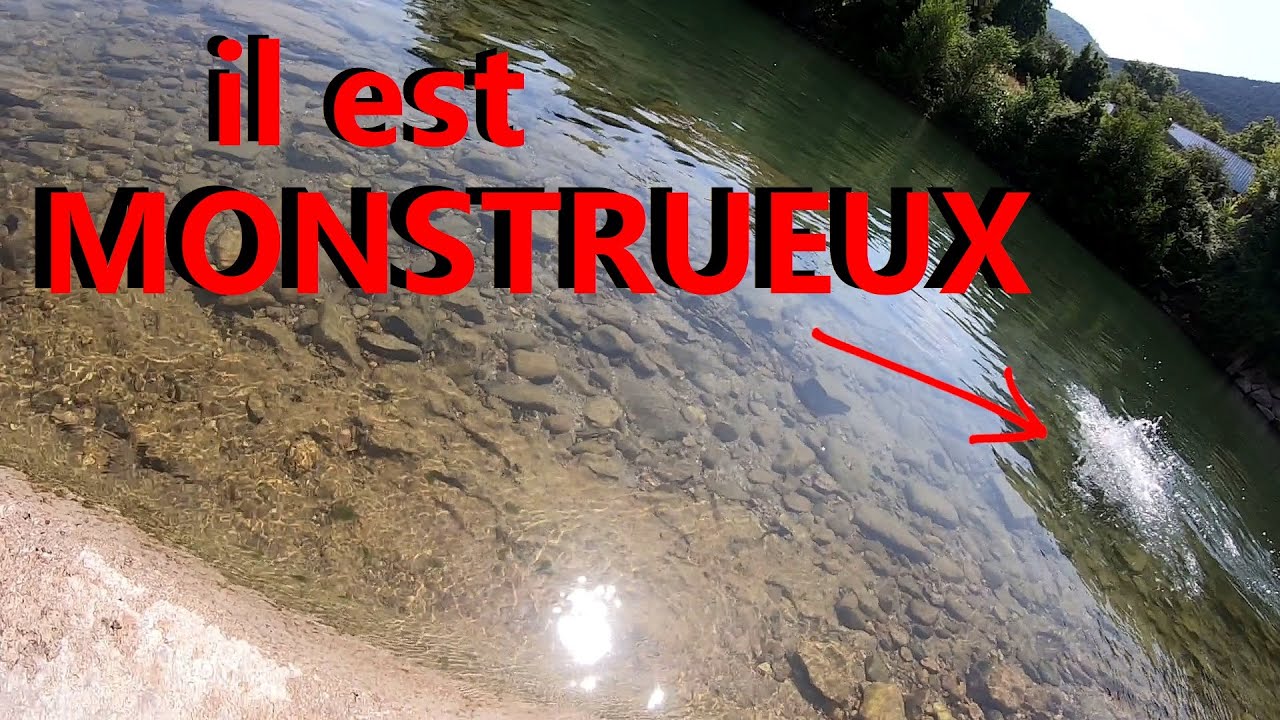 P&Ecirc;CHE AU LEURRE DE SURFACE EN EAU ULTRA CLAIRE !