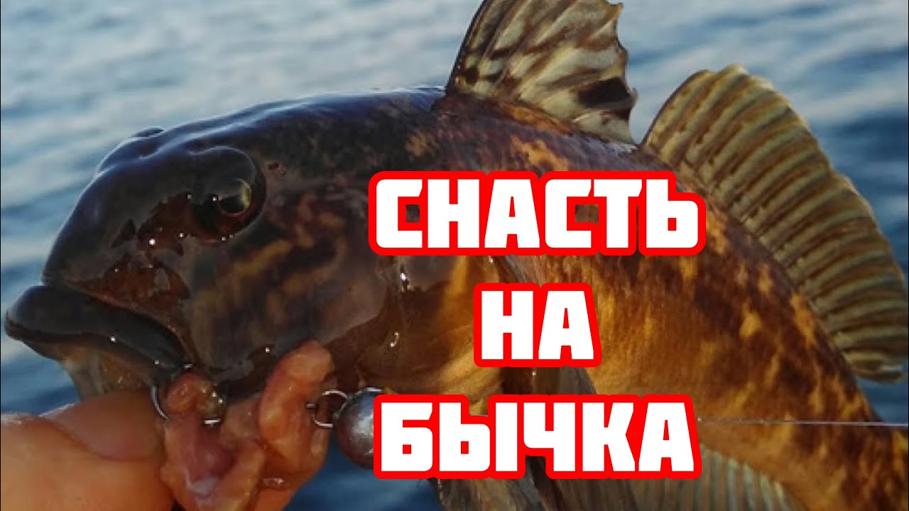 Снасть на морского «бычка»