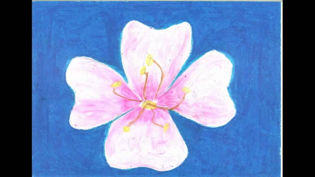 FLOR AMETLLER 2011/12