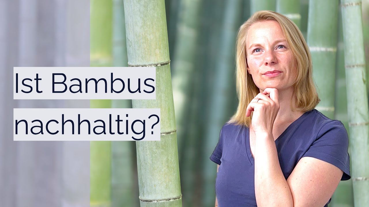 Wie umweltfreundlich ist Bambus wirklich? | nachhaltige Materialien