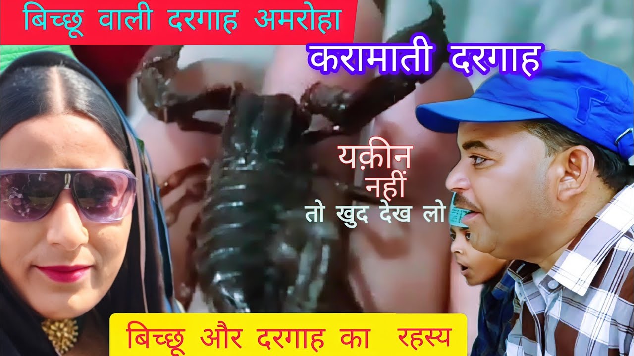 बिच्छू वाली दरगाह,अमरोहा!!  bichhu aur dargah ka rahasya🕌