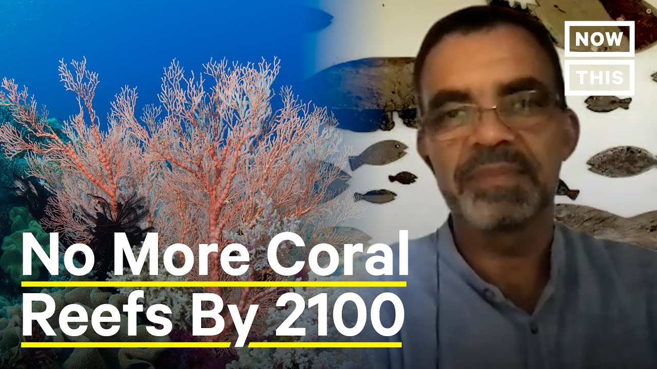 Why Bold Action is Needed to Save the World’s Coral Reefs