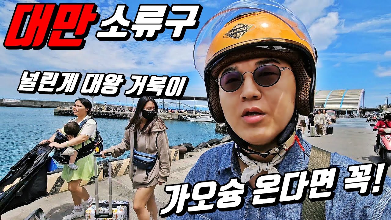 대만, 가오슝에서 20분! 🐢대왕 거북이 천국?! 소류구 당일치기 l 대만[9]